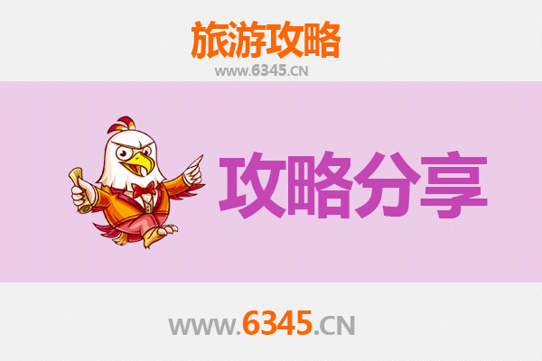 喀什疏勒旅游攻略：跟团与自由行深度对比
